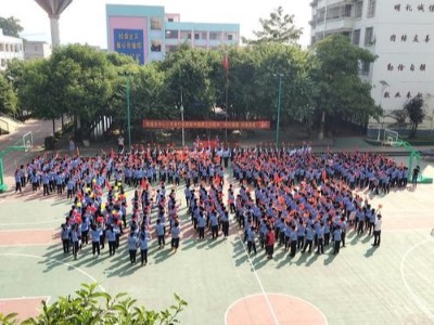 扶绥岜盆乡中心小学新校区校用家具采购案例